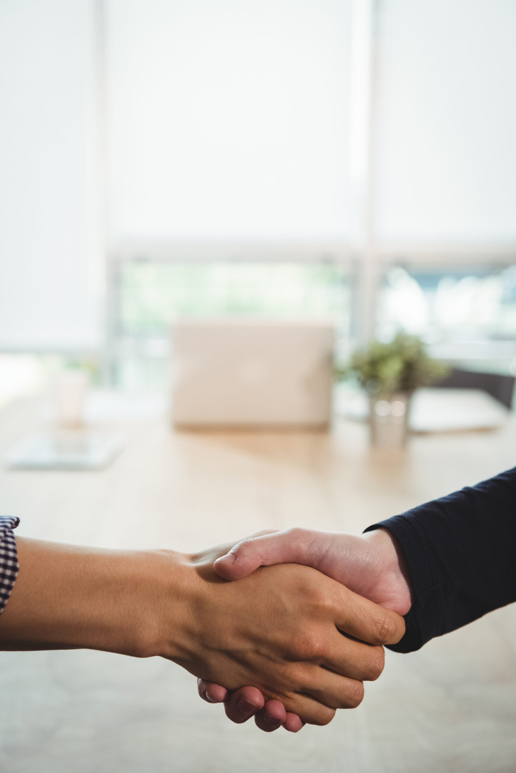 business executives shaking hands with each other in office